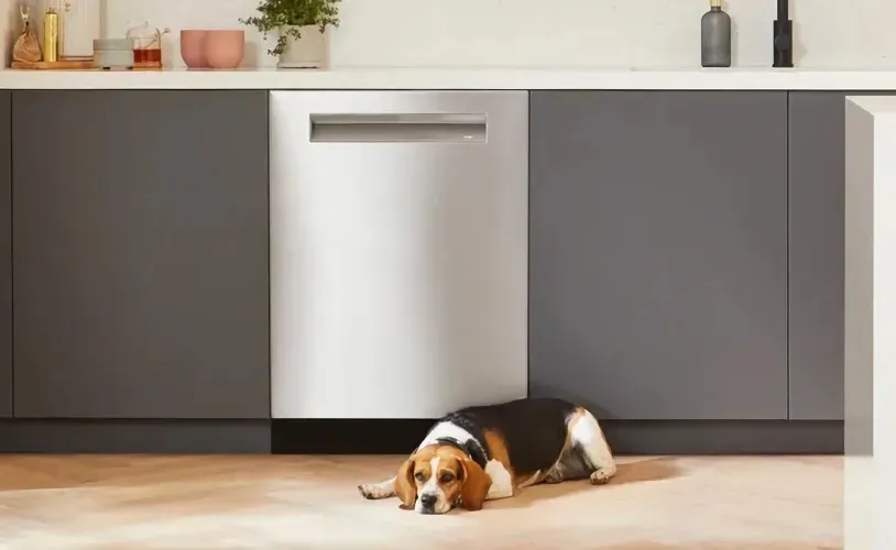 dog-in-front-of-bosch-dishwasher